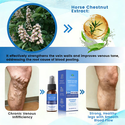 🇨🇦✨✨GFOUK® VascuCare Vein Healing Spray(Designed for Varicose veins, Spider veins, Deep vein Thrombosis, Chronic venous insufficiency, Venous ulcers, Thrombophlebitis and other venous issues)